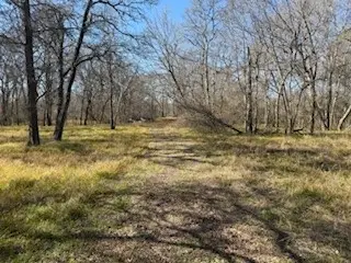 14860 Laguna Vista Drive, Needville, TX 77461 - #3