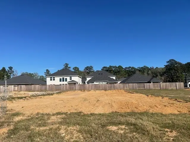 15114 Bank Swallow Place, Magnolia, TX 77354 - Image #2