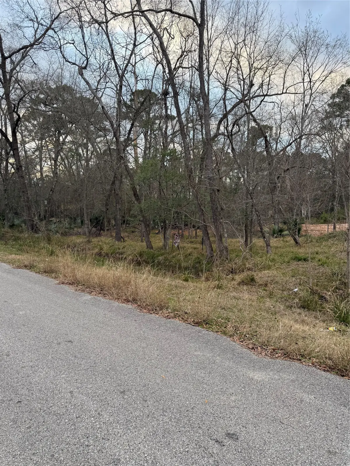 0 Pin Oak Drive Lane, Huffman, TX 77336 - #1