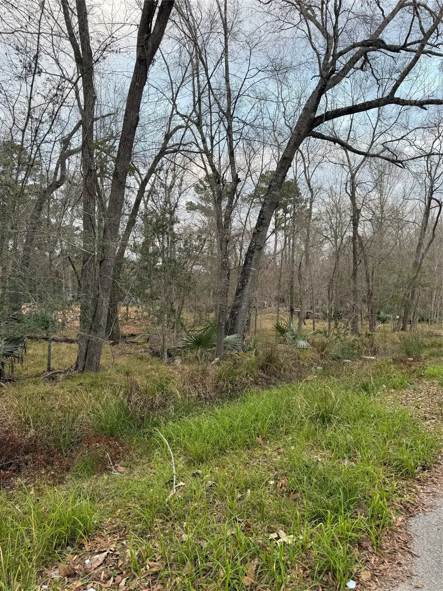 0 Pin Oak Drive Lane, Huffman, TX 77336 - #3