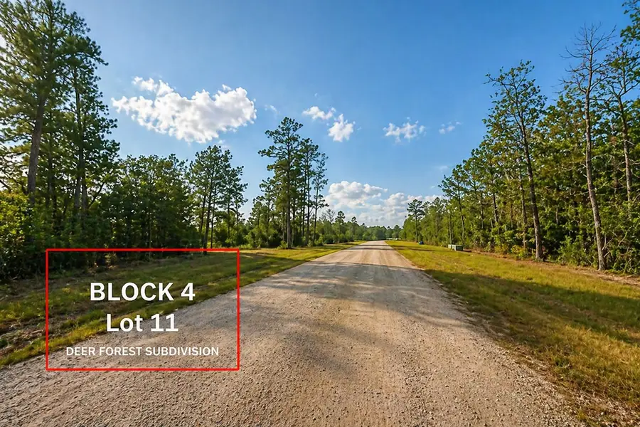 305 Iron Horse Road, Willis, TX 77378 - #2