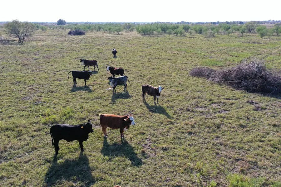 Tract 1 Tbd Jackson Rd, Bellville, TX 77418 - Image #3