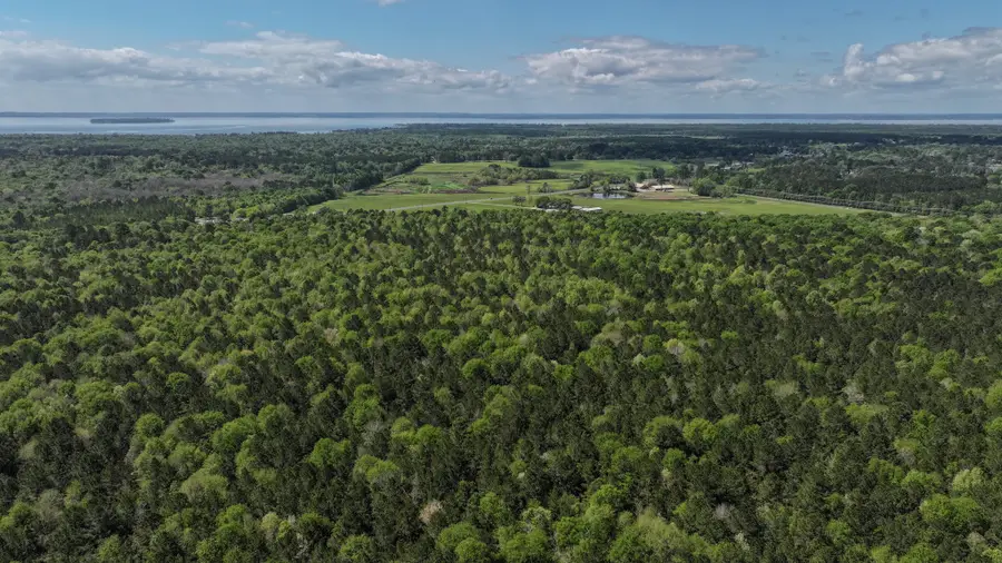 TBD 00 Fm 2457, Livingston, TX 77351 - #2