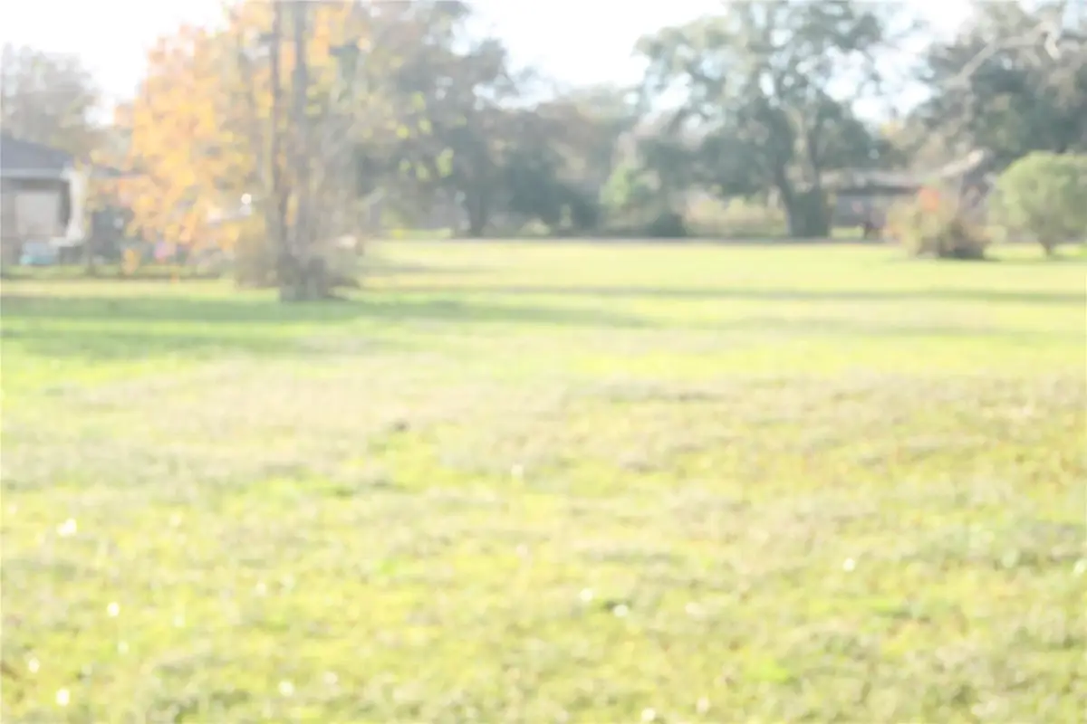 0 Lexington Avenue, Hitchcock, TX 77563 - #1