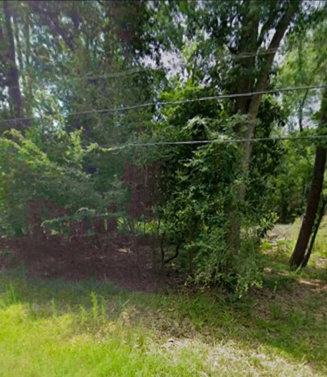 0 White Oak Drive, Huffman, TX 77336 - #1