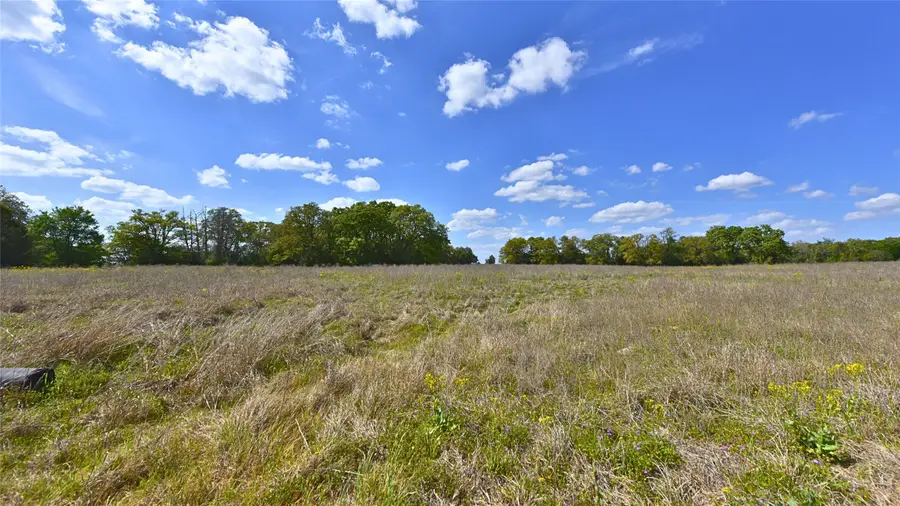 TBD Legacy Road - 5 Acres, Caldwell, TX 77836 - #3