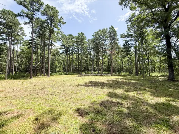 Lot 63 Pr 1280, Centerville, TX 75833