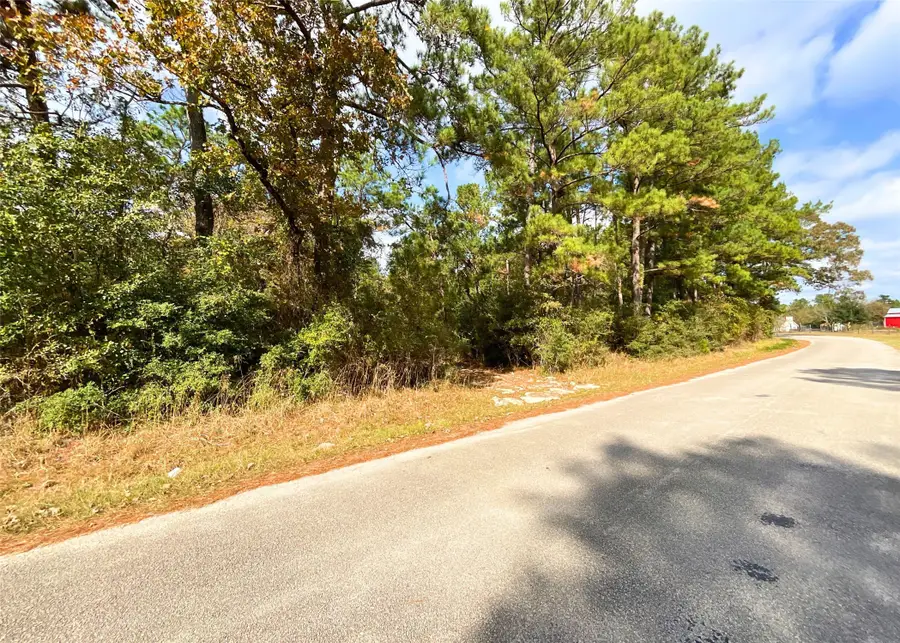 0 Frank Cloud Road, Huntsville, TX 77320 - Image #2