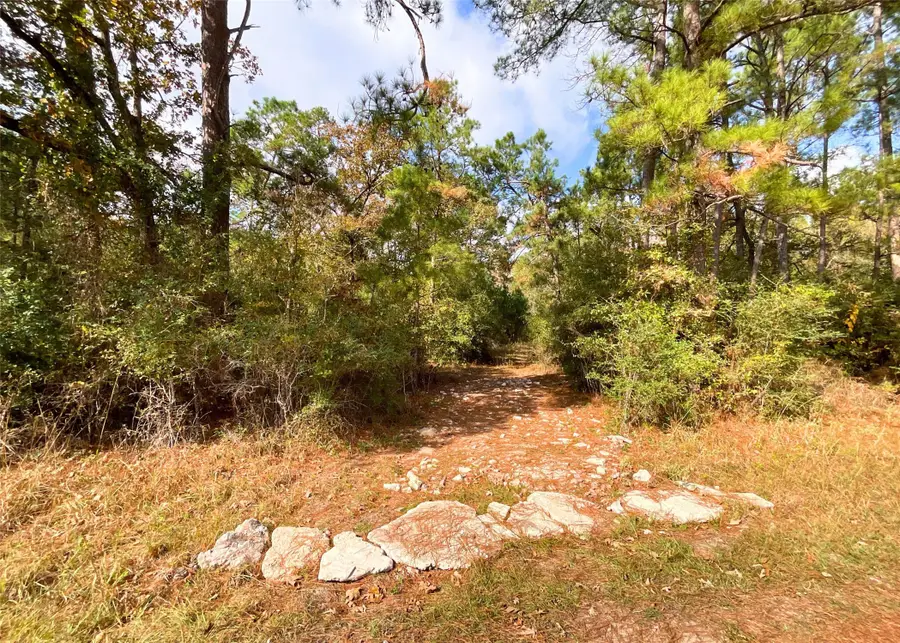 0 Frank Cloud Road, Huntsville, TX 77320 - Image #3