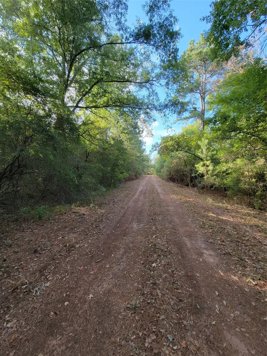 TBD Grey Wolf Dr, Hempstead, TX 77445 - #3