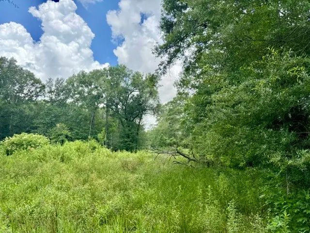 1000 Butler Road, Vidor, TX 77662 - #2