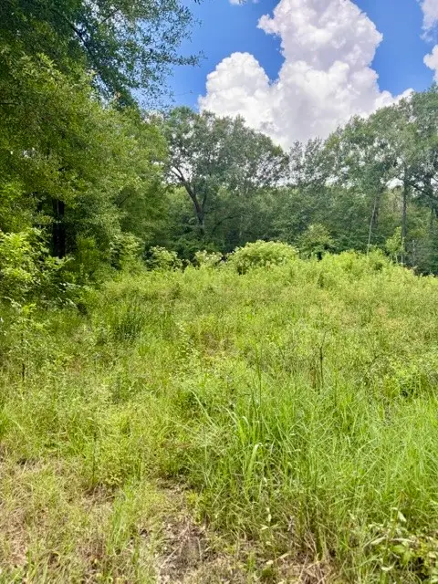 1000 Butler Road, Vidor, TX 77662 - #3