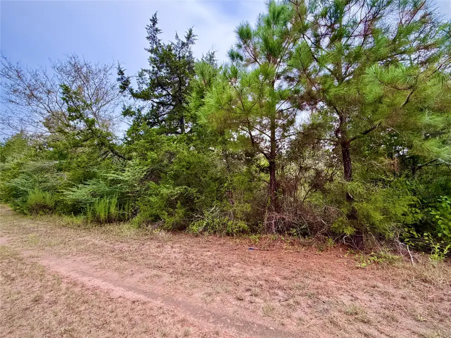 0 Cotton Tail Drive, Waller, TX 77484 - #2