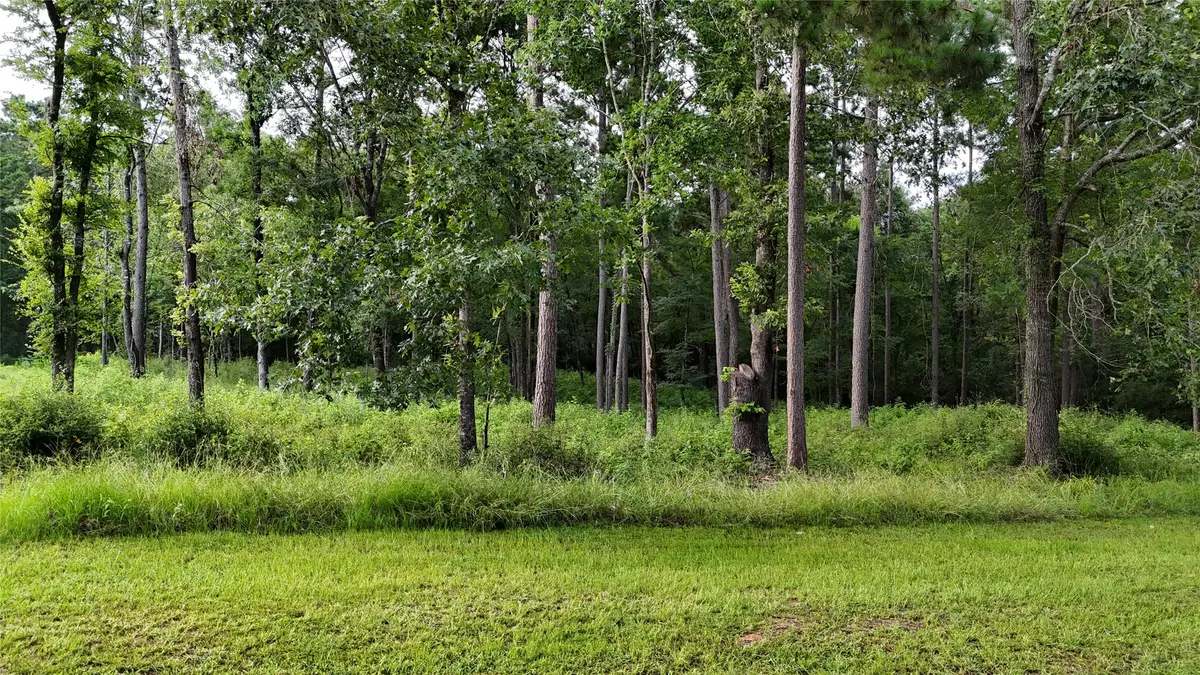 035 Naples Way, Huntsville, TX 77320 - #1