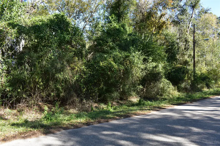 3415 Evergreen Drive, Porter, TX 77365 - Image #3