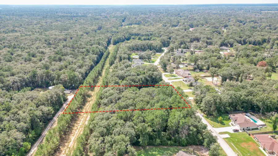 27538 Rio Blanco Drive, Splendora, TX 77372 - #2