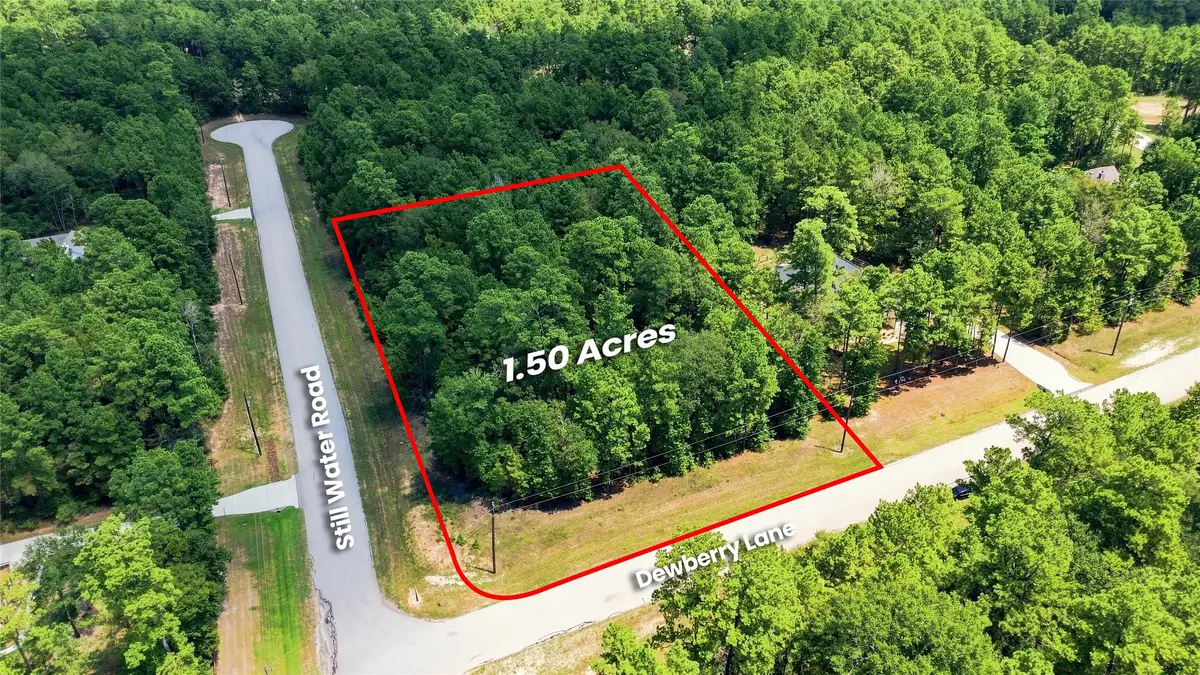 8-6-293 Stillwater Road, Huntsville, TX 77340 - #1