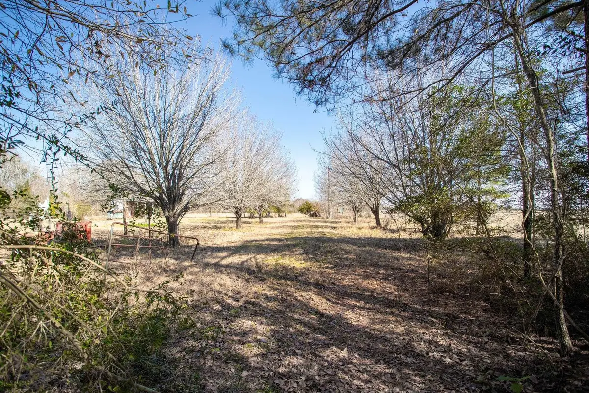 30808 Old Sour Lake Road, Sour Lake, TX 77659 - #1
