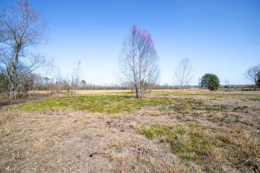 30808 Old Sour Lake Road, Sour Lake, TX 77659 - #3