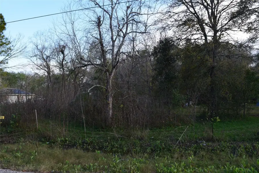 9721 Cr 544c, Manvel, TX 77578 - #2