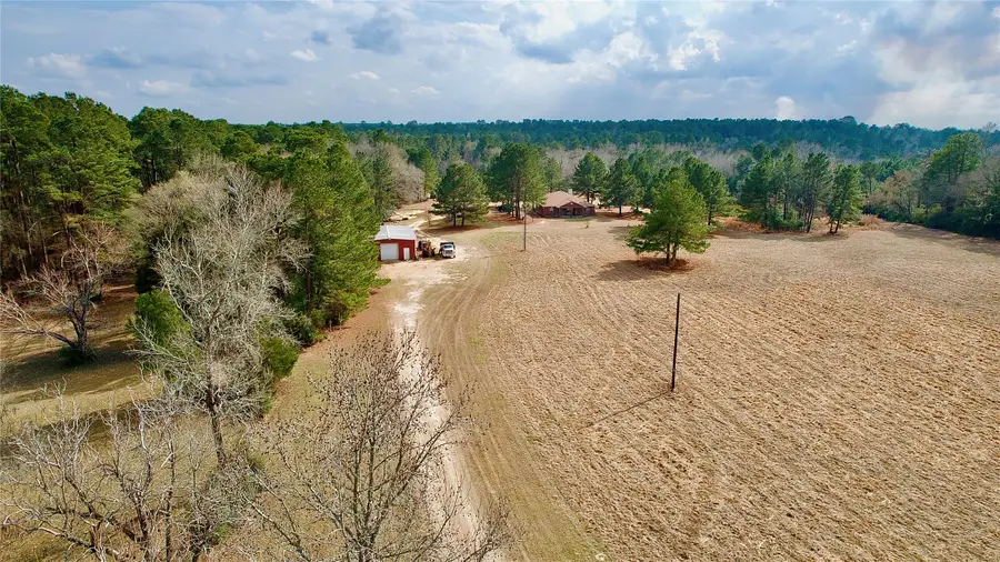6161 County Road 3385, Lovelady, TX 75851 - #3