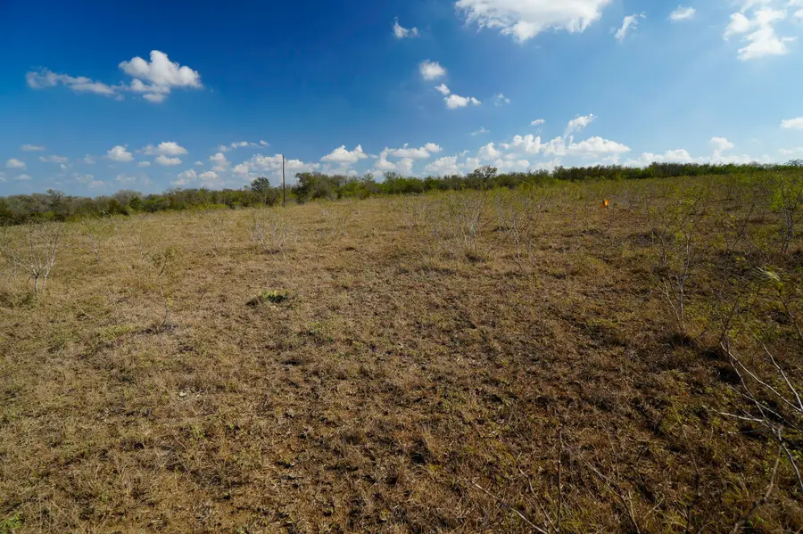 LOT 12 000 Cr 447, Waelder, TX 78959 - #2
