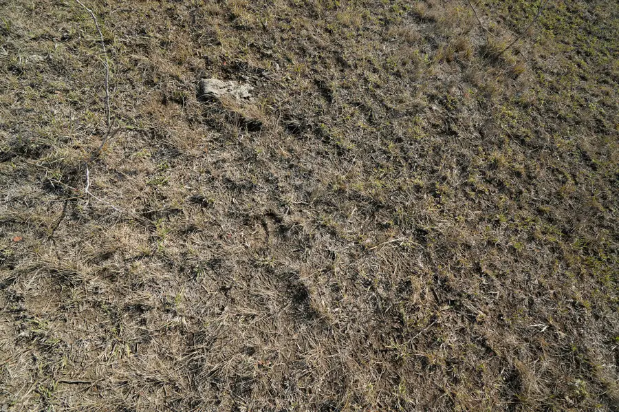 LOT 12 000 Cr 447, Waelder, TX 78959 - #3