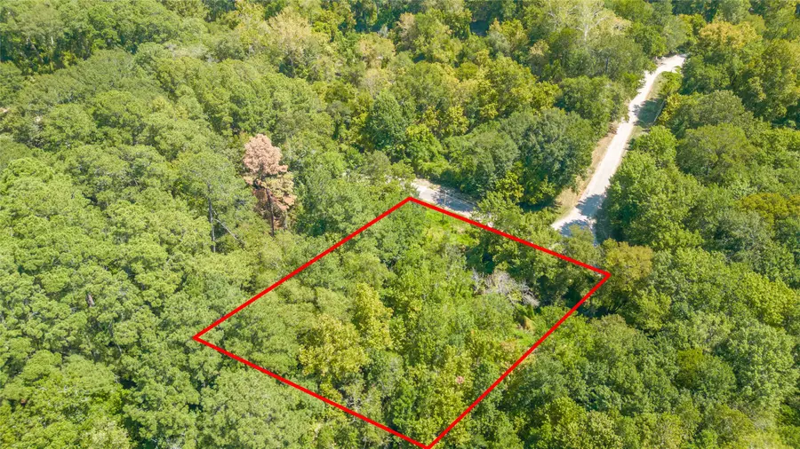 TBD Royal Creek Road, Conroe, TX 77303 - #2