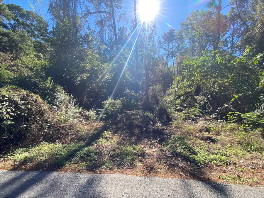 2229 Easley Circle, Huntsville, TX 77320 - #3