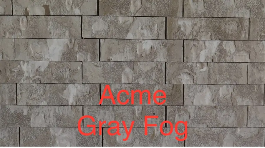 13306 Prado Ridge Lane, Iowa Colony, TX 77583 - #3