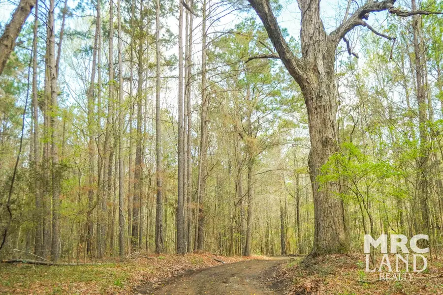 00 Crocker Road, Milam, TX 75959 - #3