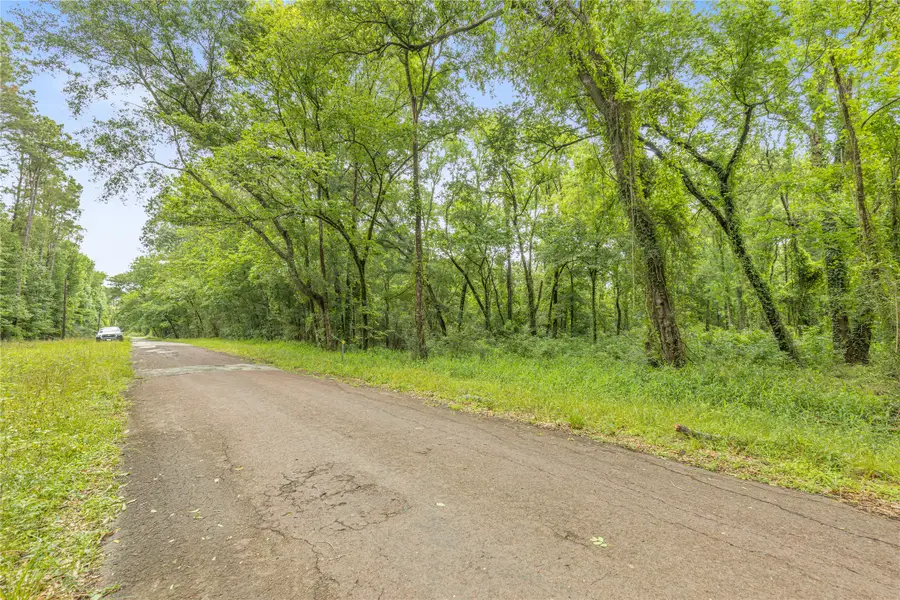 12572 Royal Creek Road, Conroe, TX 77303 - #3