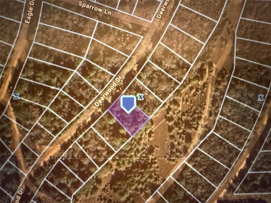 TBD Deerwood Drive, Hempstead, TX 77445 - Image #2