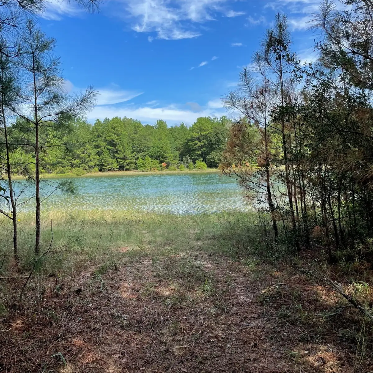 29340 Clydesdale Drive, Waller, TX 77484 - Image #1