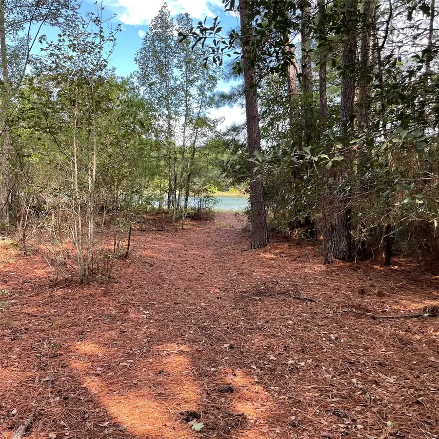 29340 Clydesdale Drive, Waller, TX 77484 - Image #3