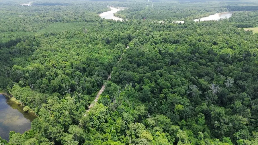 371 County Road 4240, Kirbyville, TX 75928 - #2