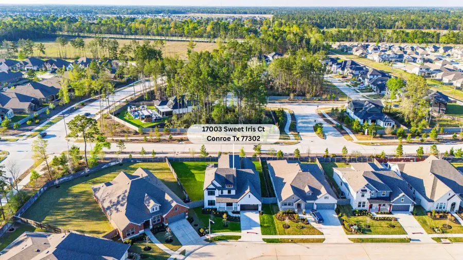 17003 Sweet Iris Court, Conroe, TX 77302 - #3