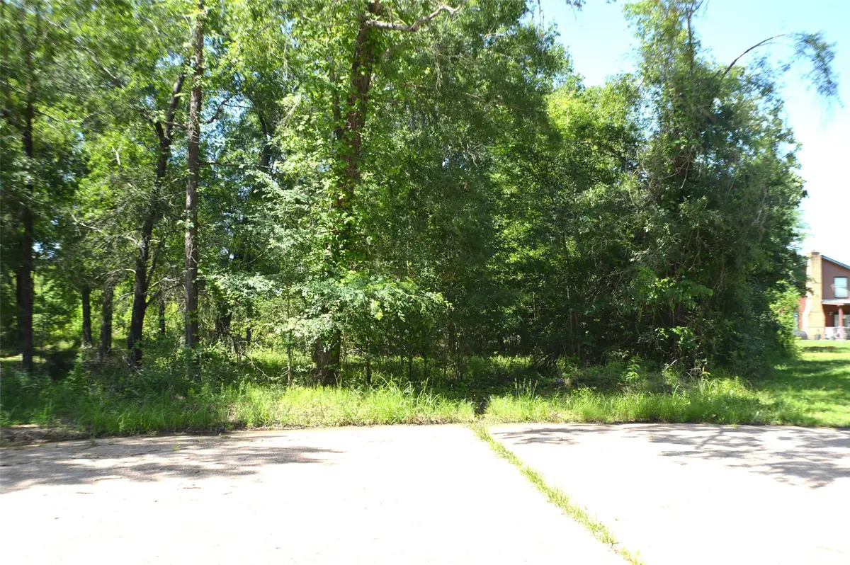 TBD Bending Oaks Lane, Livingston, TX 77351 - Image #1