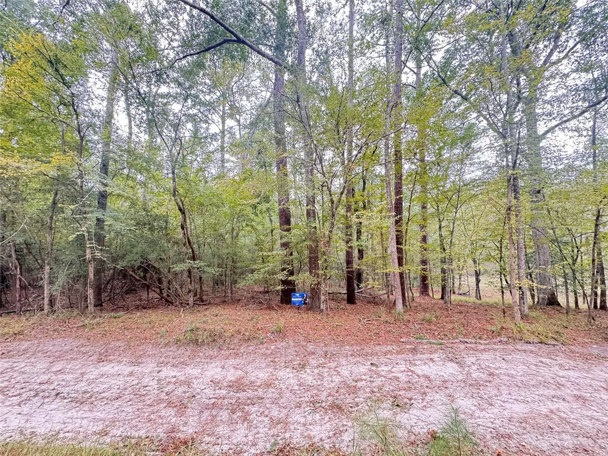 TBD Offshore Lane, Onalaska, TX 77360 - Image #1