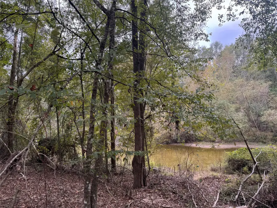 TBD Offshore Lane, Onalaska, TX 77360 - Image #2