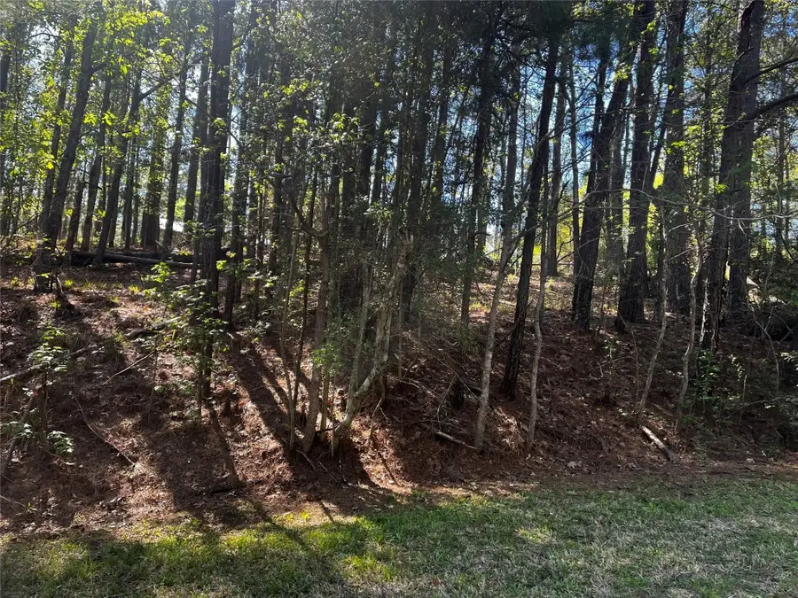 207 Green Tree Drive, Coldspring, TX 77331 - #2