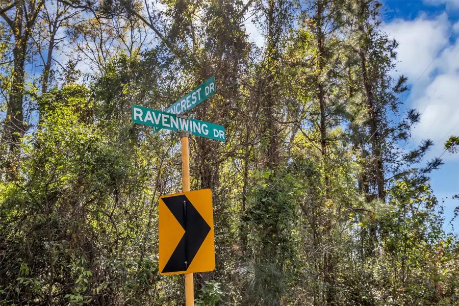 Lot 139 Ravenwood Drive, Porter, TX 77365 - #2
