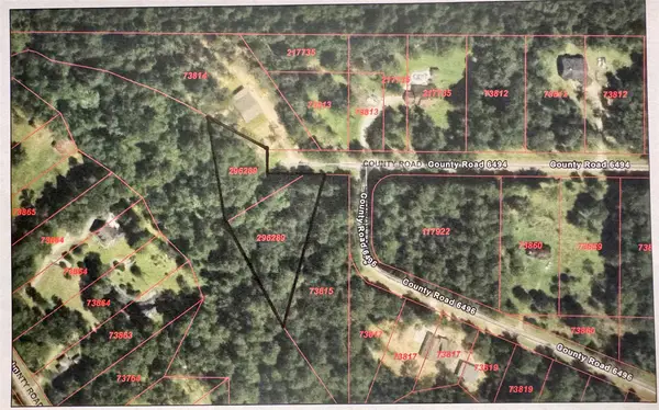 TBD-000 County Road 6496, Dayton, TX 77535