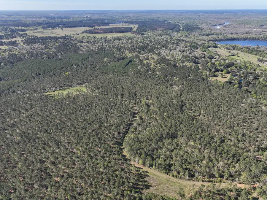 0 Fm 2610, Livingston, TX 77351 - #3