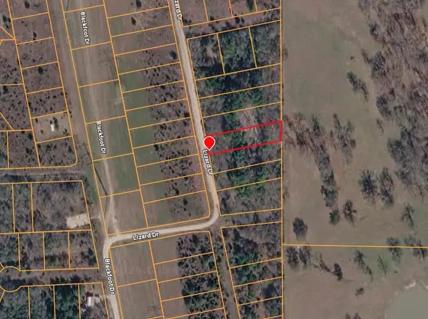 0 Izard Drive, Navasota, TX 77868