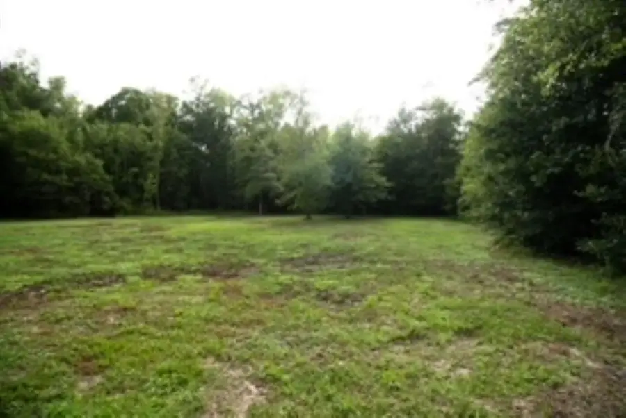 650 Cr 4055, Kirbyville, TX 75956 - #3
