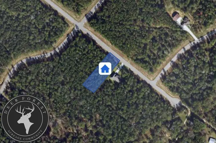 94 Coyote Run, Willis, TX 77378 - #3