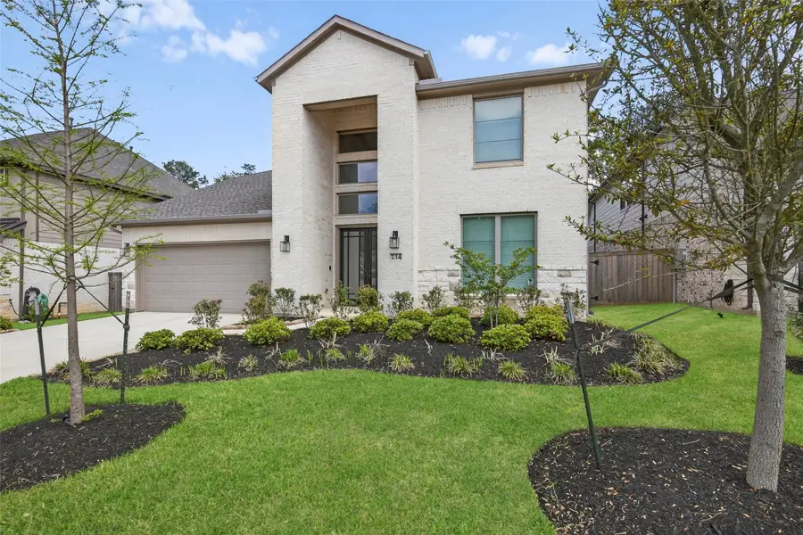 234 Butterfly Orchid Court, Conroe, TX 77318 - #3