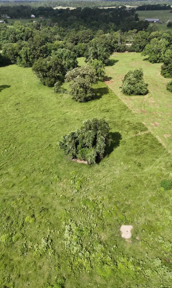 873 Jones Road, New Waverly, TX 77358