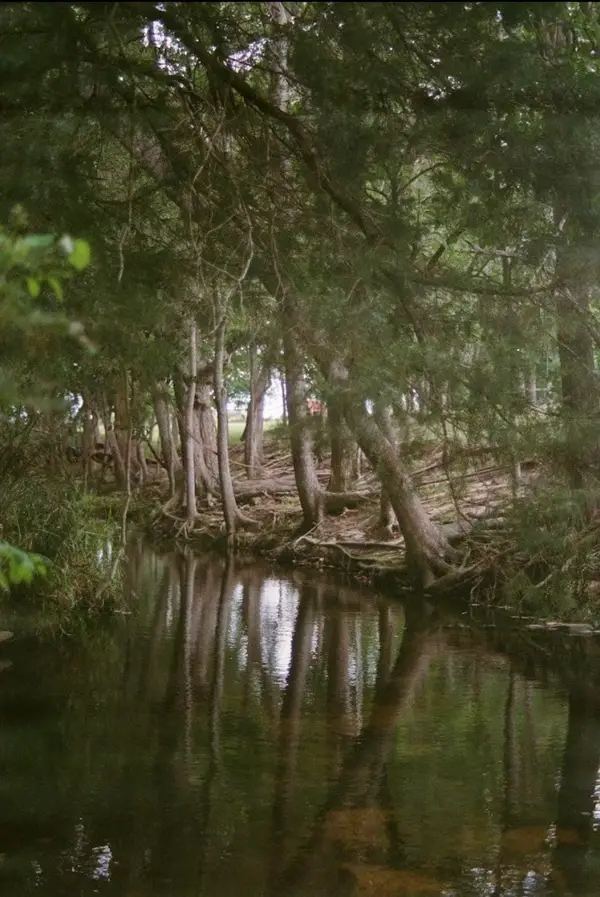 1532 County Road 250, Weimar, TX 78962